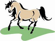 Logo Pferdepension Seltmann